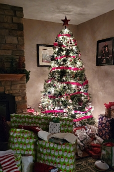 20221224_224203 Christmas Tree 12-24-22